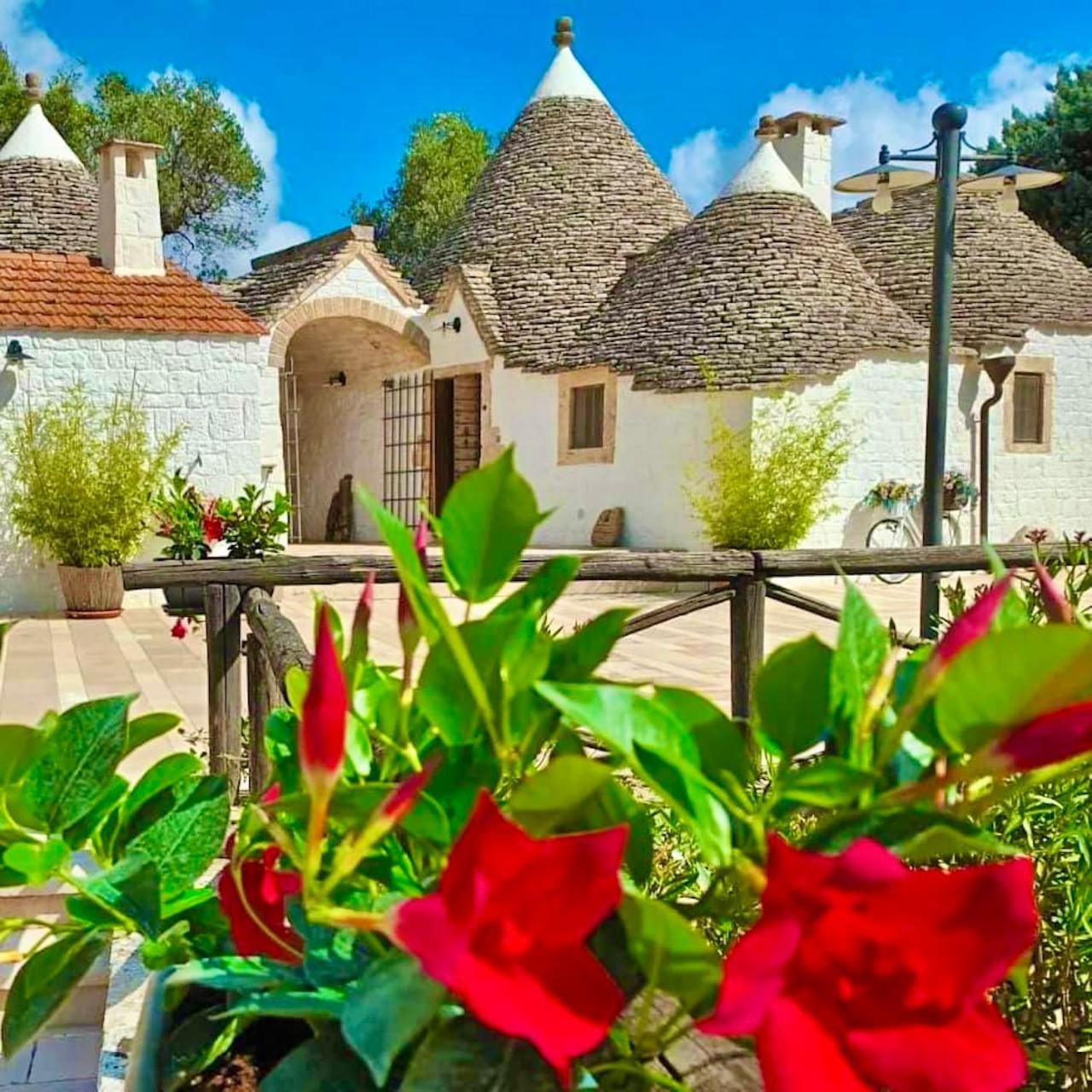شقة Trulli Bosco Selva ألبيروبيللو المظهر الخارجي الصورة